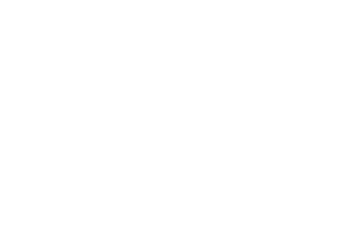 Asterfusion logo